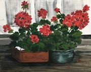 Geraniums on the Porch